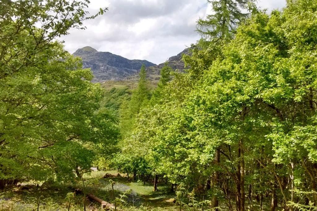 Ty Hen - Quirky Grade Ii Listed Casa vacanze